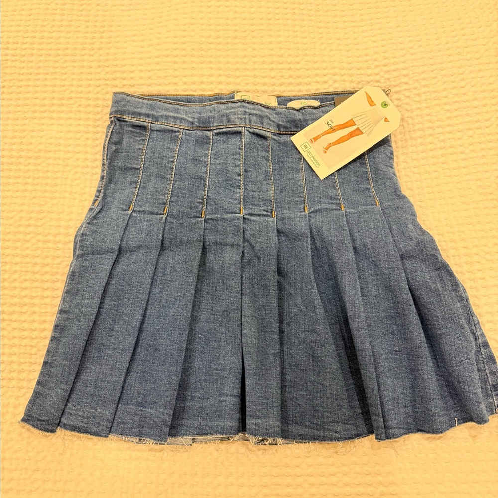 Celebrity Pink Blue Pleated Mini Skirt